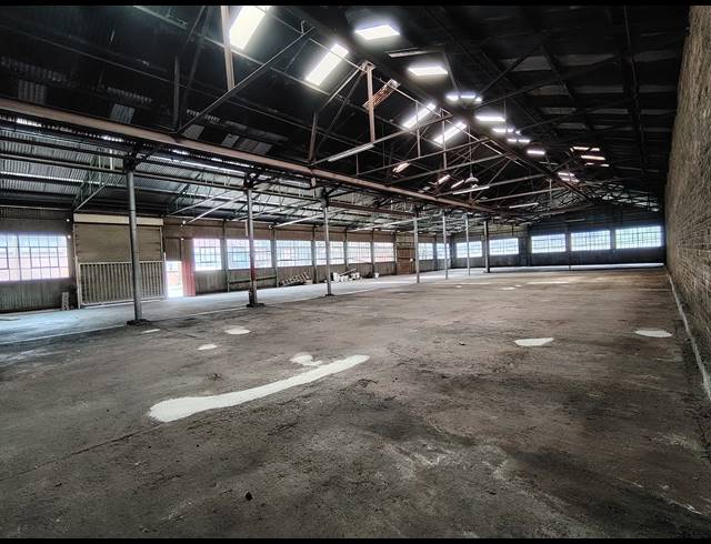 1,500M² WAREHOUSE TO LET IN DRIEHOEK